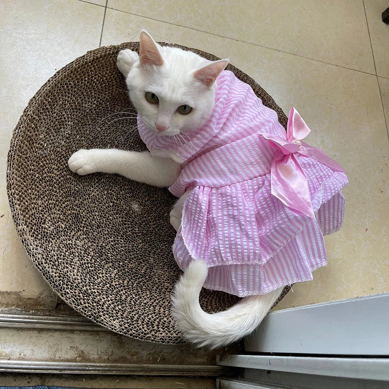 Princess Cat Dresses