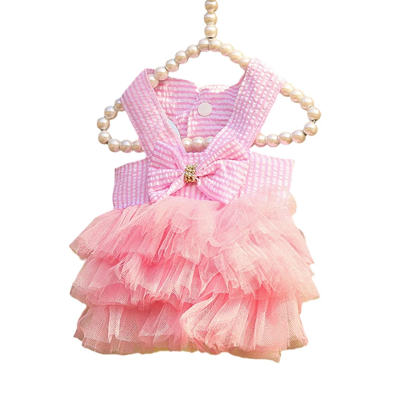 Princess Cat Dresses