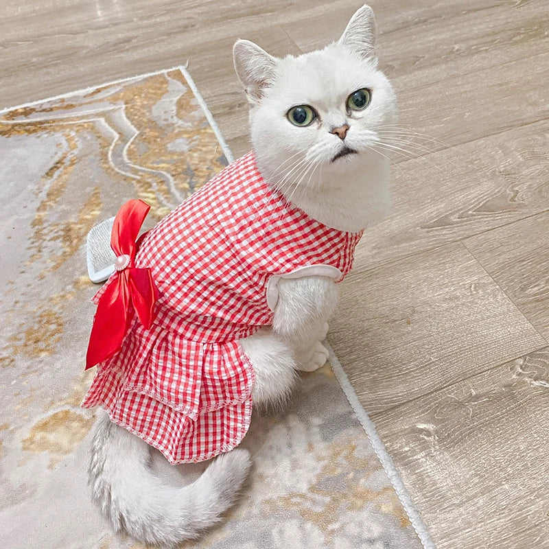 Princess Cat Dresses