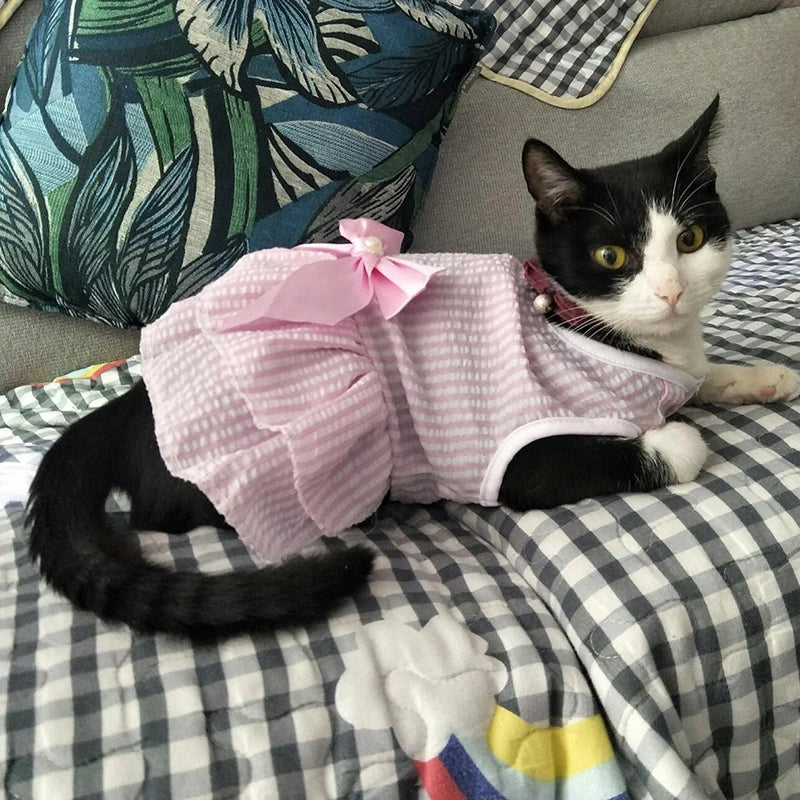 Princess Cat Dresses