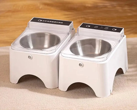 Automatic Feeding bowl