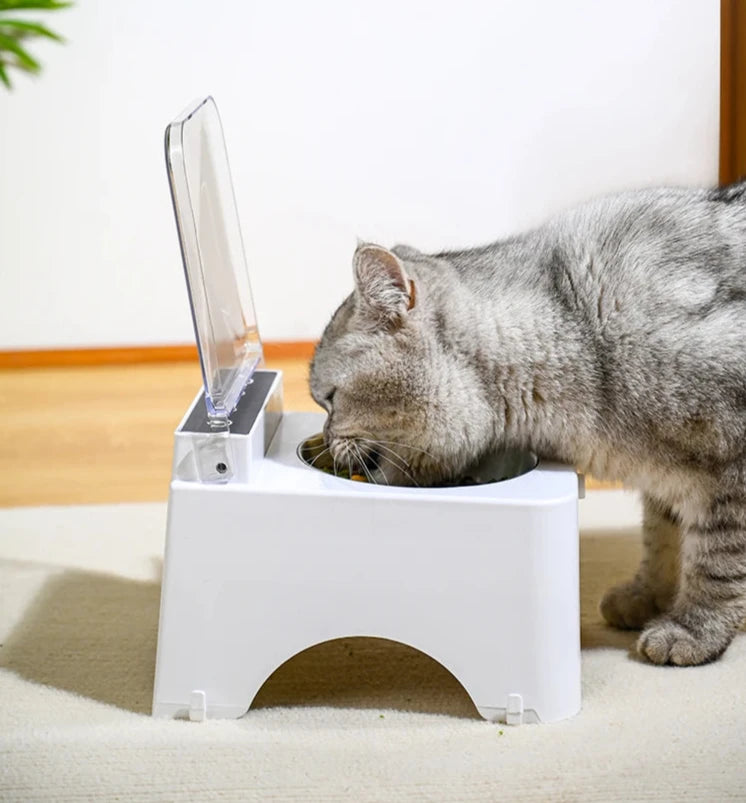 Automatic Feeding bowl