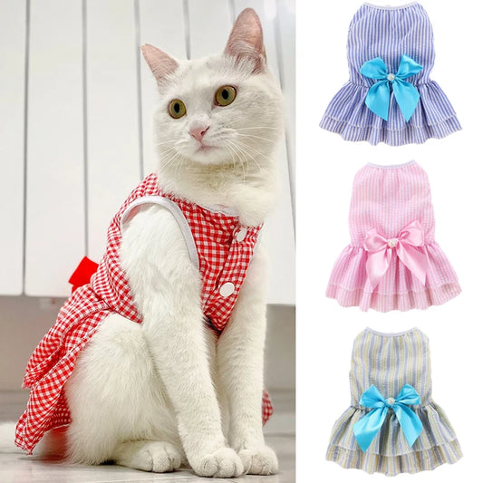 Princess Cat Dresses